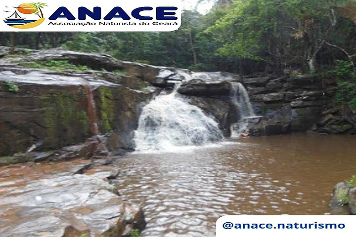 primeira imagem do grupo