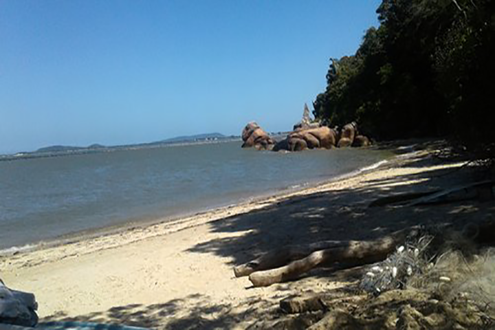 primeira imagem do grupo