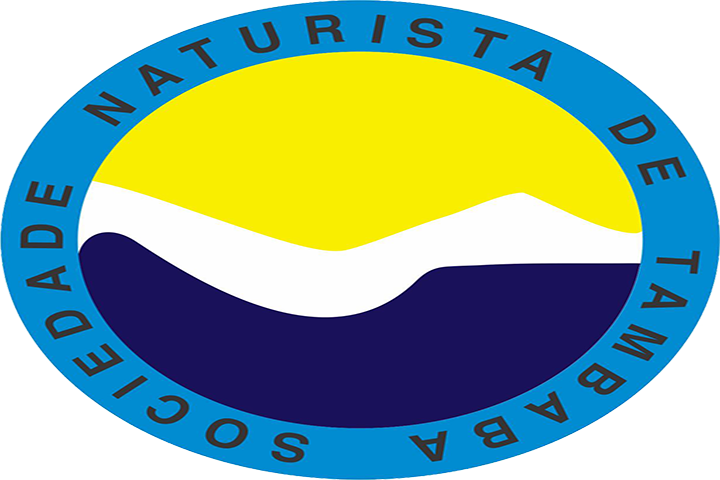 segunda imagem do grupo